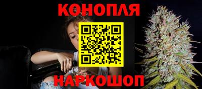 mdpv Бийск