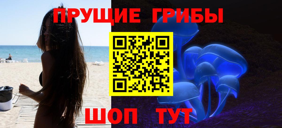 цены   Вход с VPN  Зеленодольск  Галлюциногенные грибы Cubensis  Псилоцибиновые грибы Cubensis 